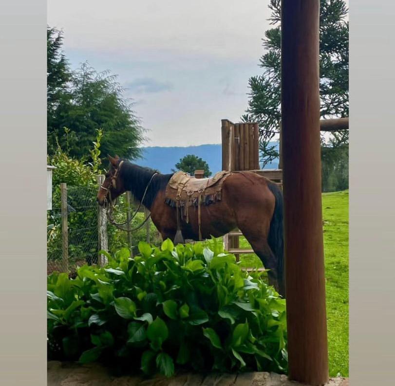 Pousada Fazenda Paim Sao Jose dos Ausentes Exteriör bild
