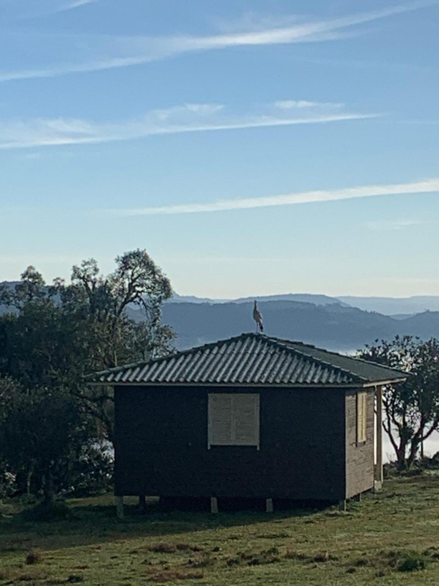 Pousada Fazenda Paim Sao Jose dos Ausentes Exteriör bild
